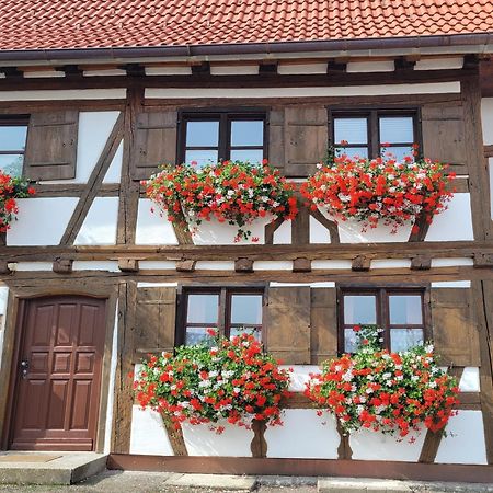 Ferienwohnung Hiemer Bad Grönenbach Exteriér fotografie